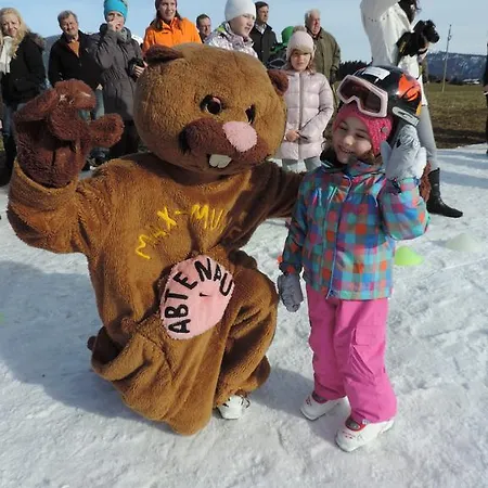 Apartmenthaus Vergissmeinnicht Appartamento Abtenau