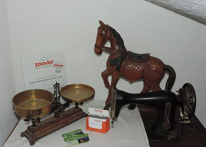 公寓 维基斯梅因尼奇酒店