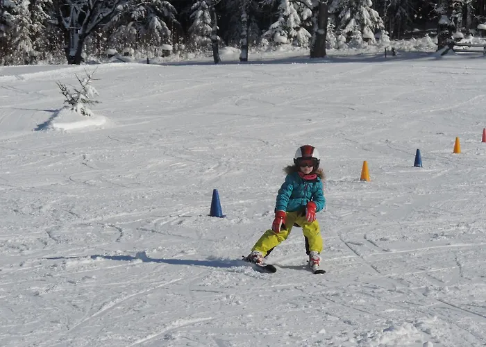 维基斯梅因尼奇酒店 公寓