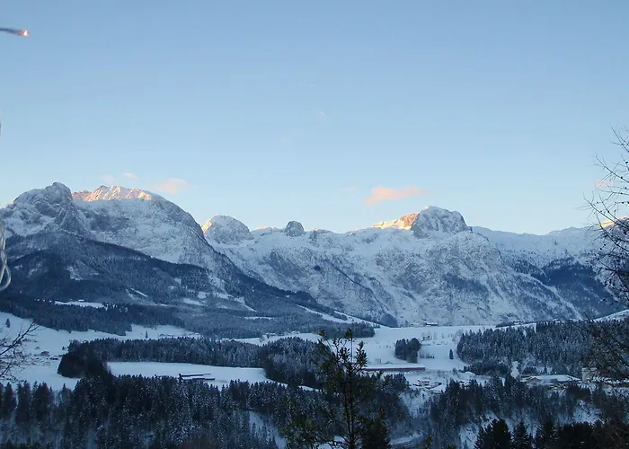 维基斯梅因尼奇酒店 *